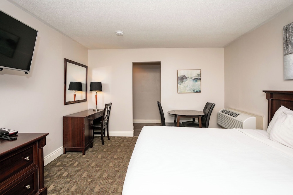 Room, Queen Bed