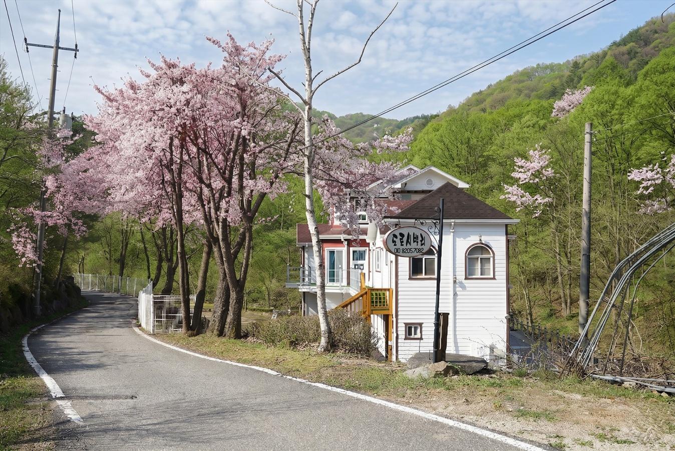 Yangpyeong Dorothy Velly Pension 12/39