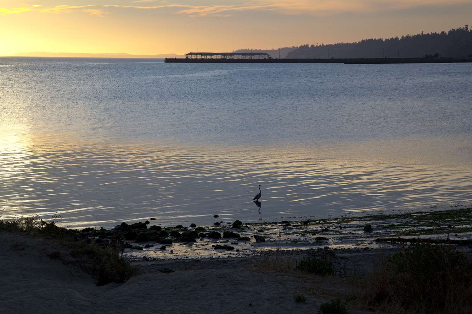 Red Lion Hotel Port Angeles Harbor 12/29