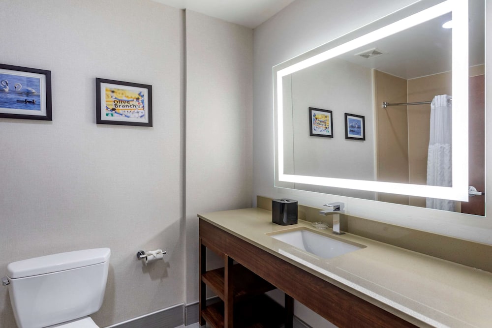 Comfort Suites Olive Branch - Memphis South 16/43