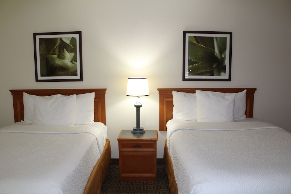 La Quinta Inn & Suites by Wyndham Lakeland East 18/37
