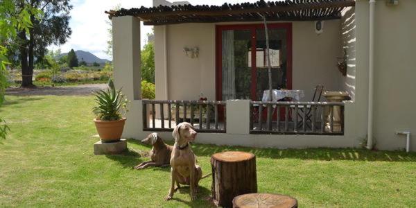 Kuruma Farm Cottages 34/43