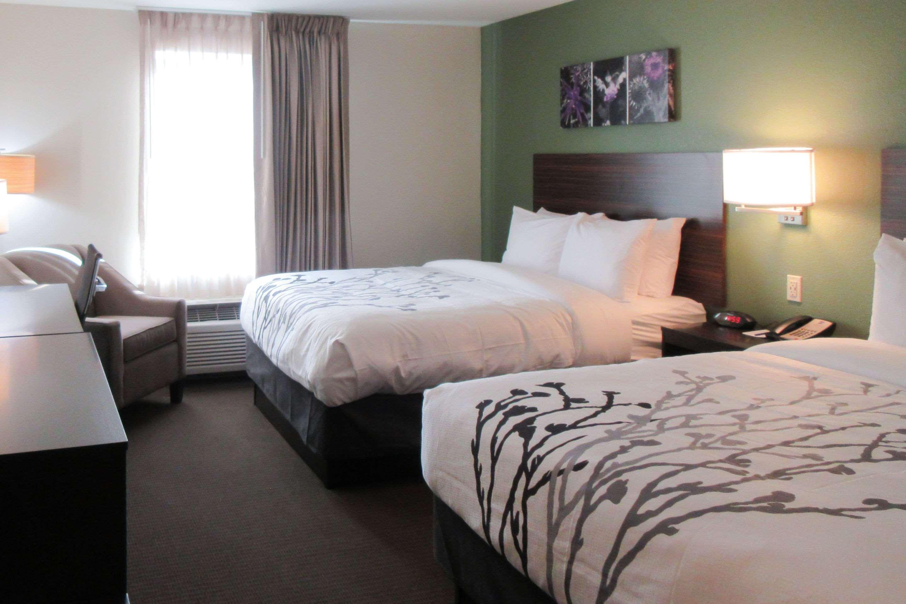 Room, 2 Queen Beds