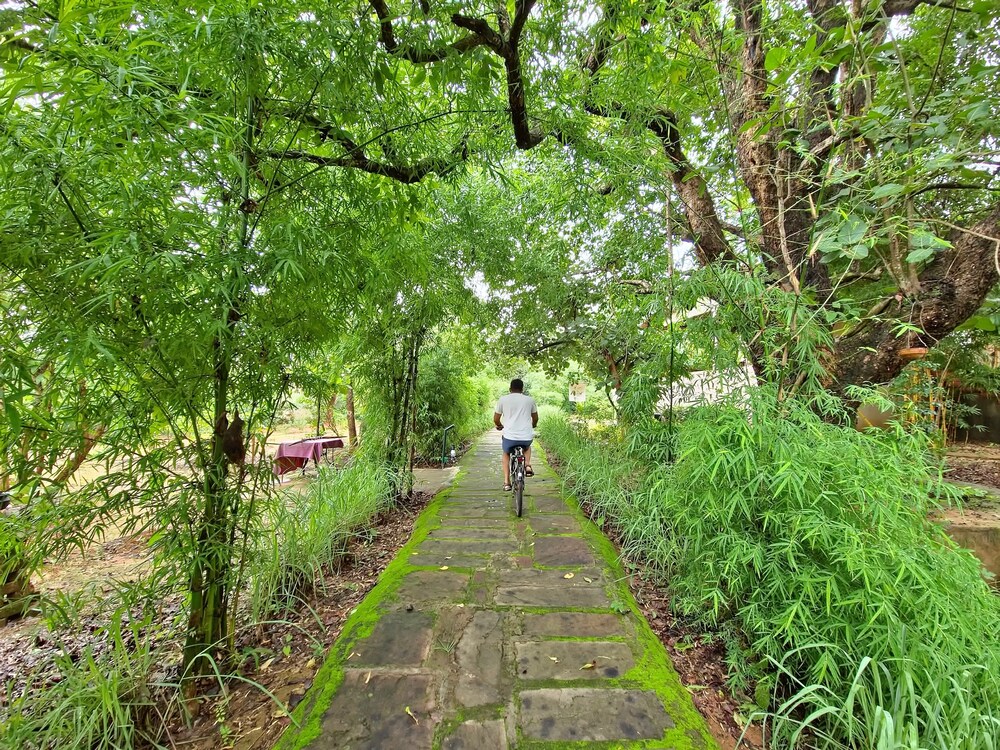 Tathastu Kanha 70/74