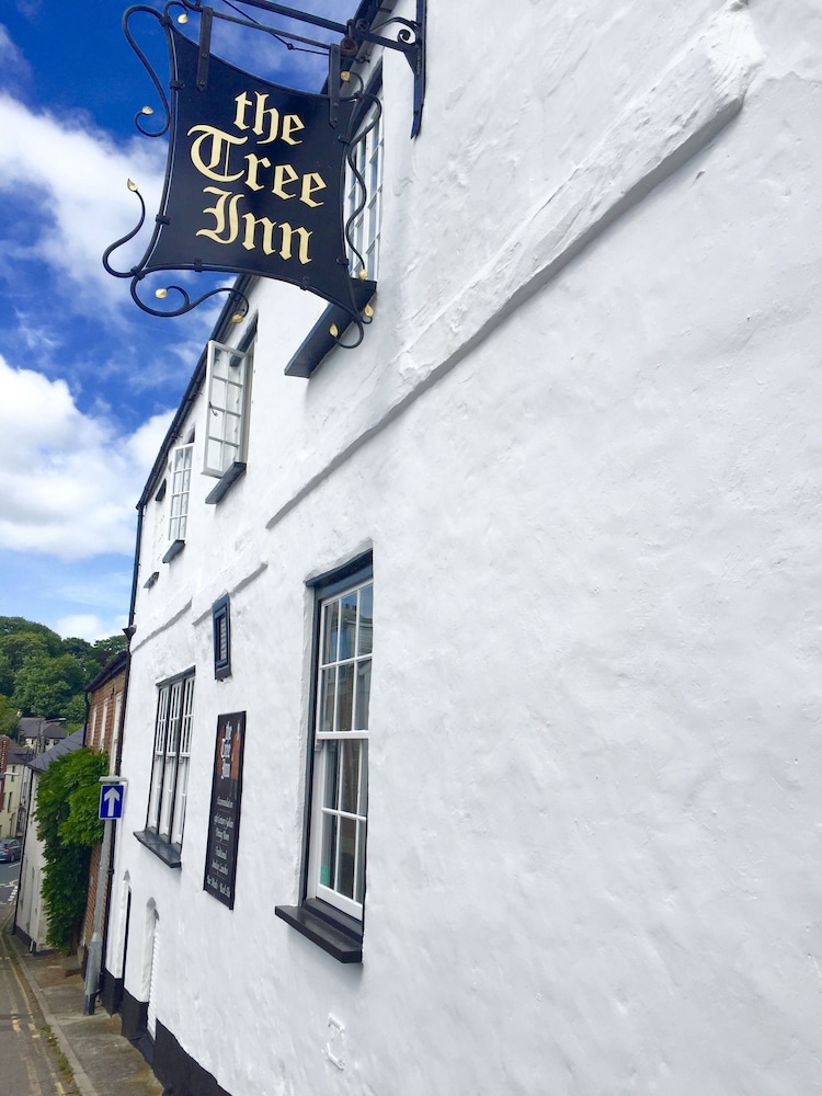 The Tree Inn 6/50