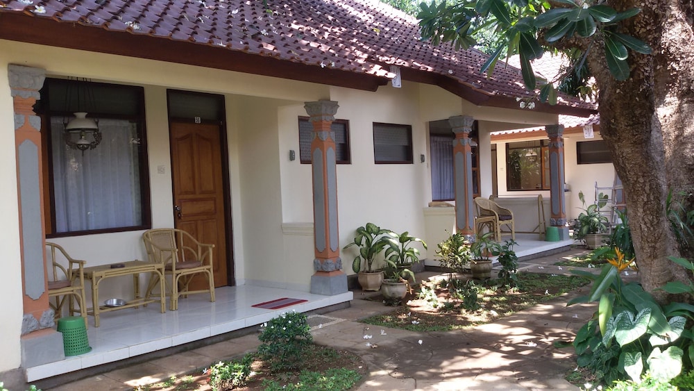Lovina Beach Hotel 3/65