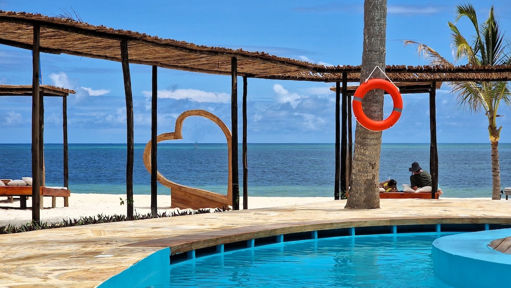 Dream of Zanzibar 20/50