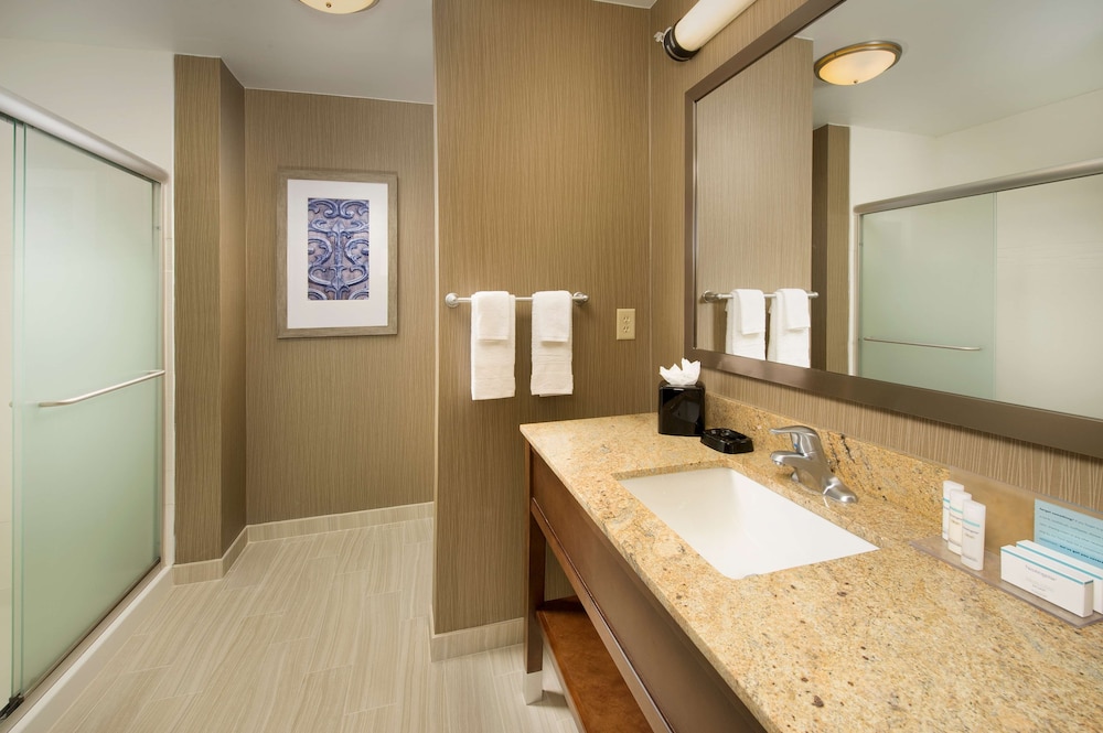Hampton Inn and Suites San Antonio Downtown Market Square 14/33