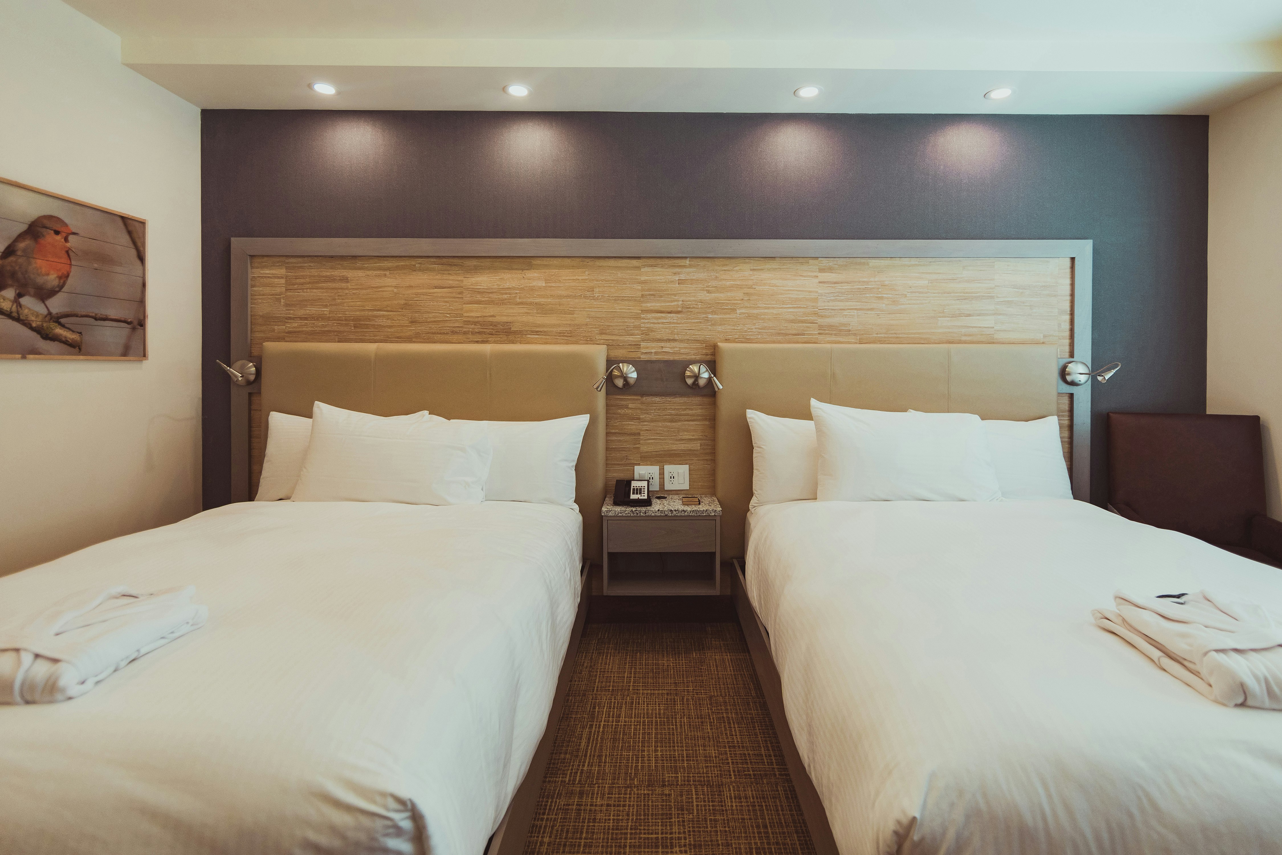 Room at Tailwater Lodge Altmar, Tapestry Collection by Hilton, Altmar - NY