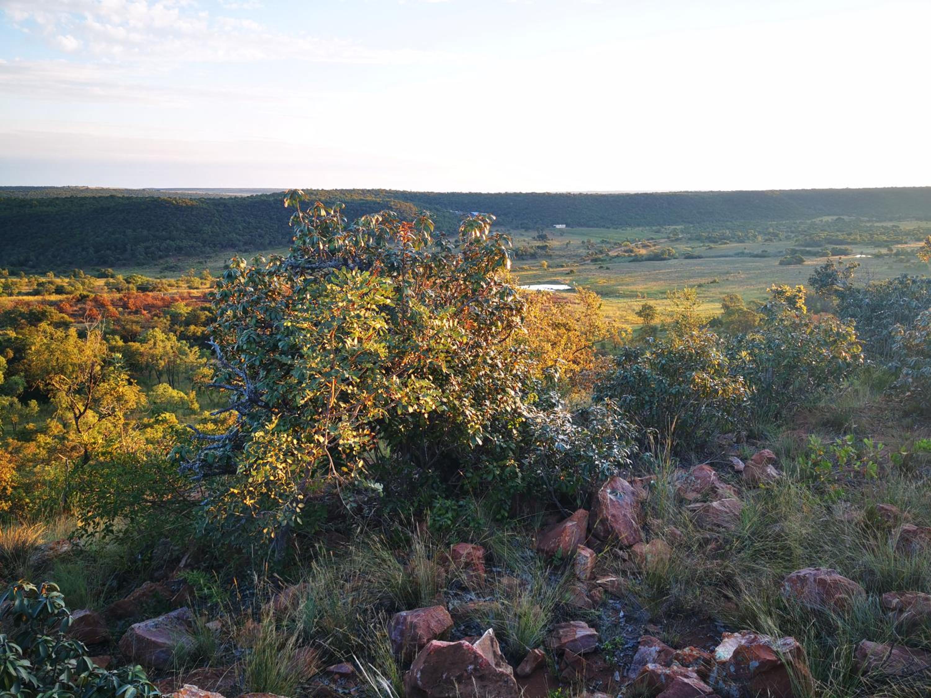 Moletani Game Ranch 29/50