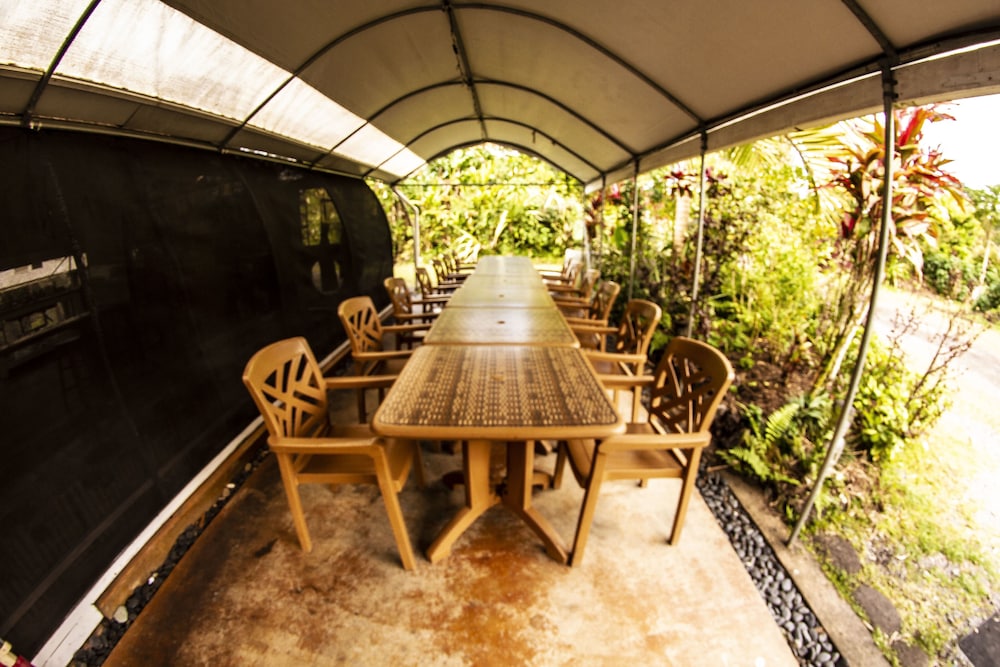 Hawaiian Sanctuary 26/50