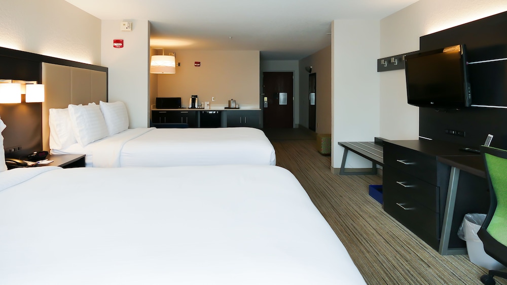 Holiday Inn Express and Suites St. Petersburg North (I-275), an IHG Hotel 26/58