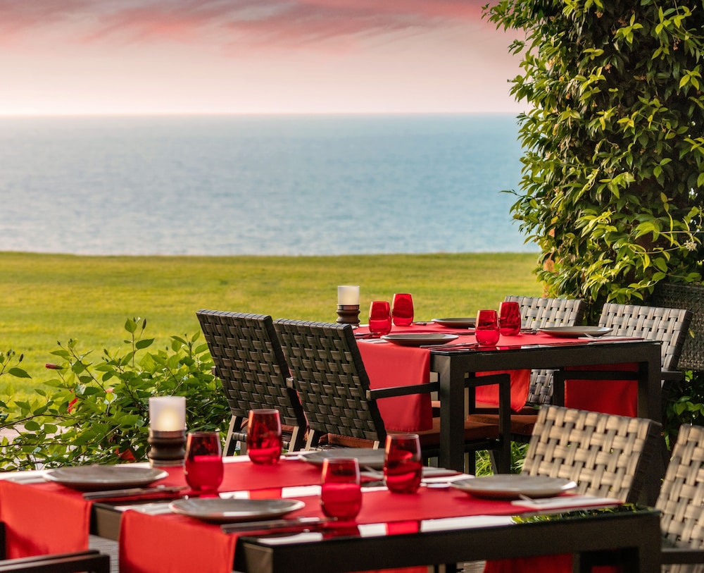 Elexus Hotel Resort & SPA & Casino 29/50