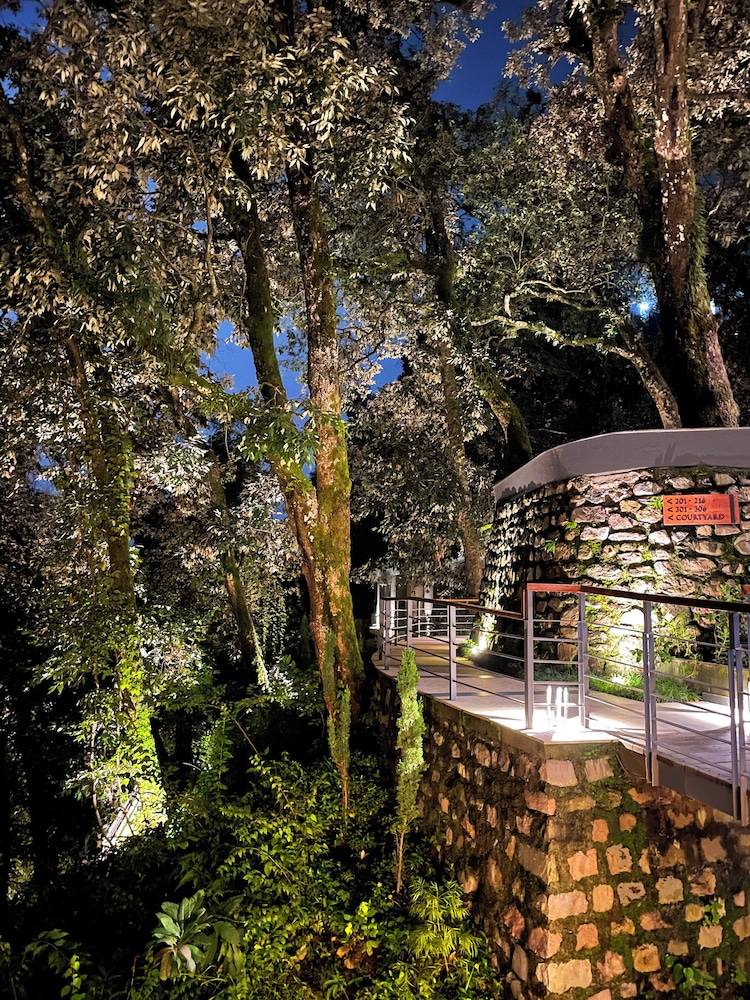 The Rosefinch Sarovar Portico 34/40
