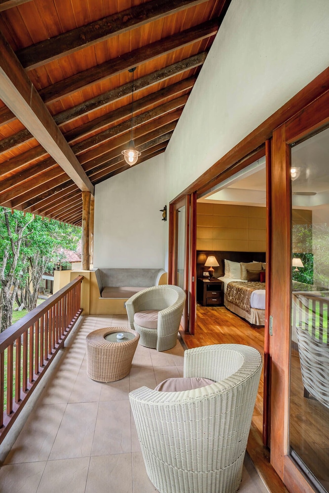 Amaya Lake 8/50