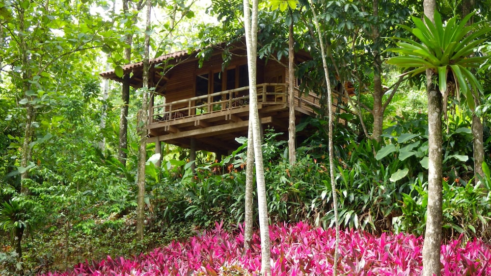 Macaw Lodge 7/64