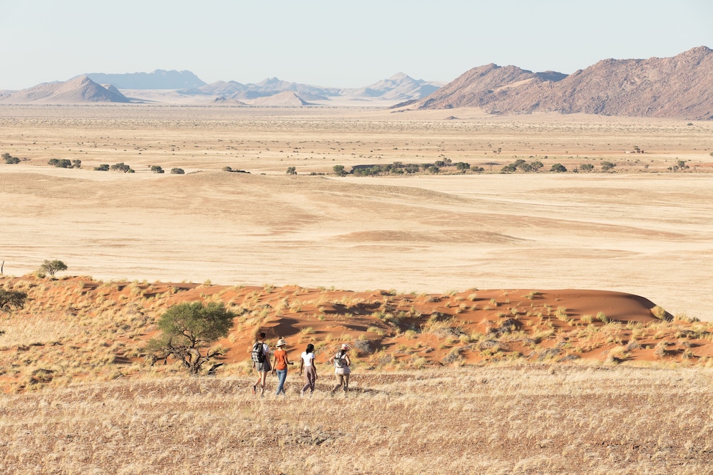 The Desert Grace, Gondwana Collection Namibia (PTY 51/58