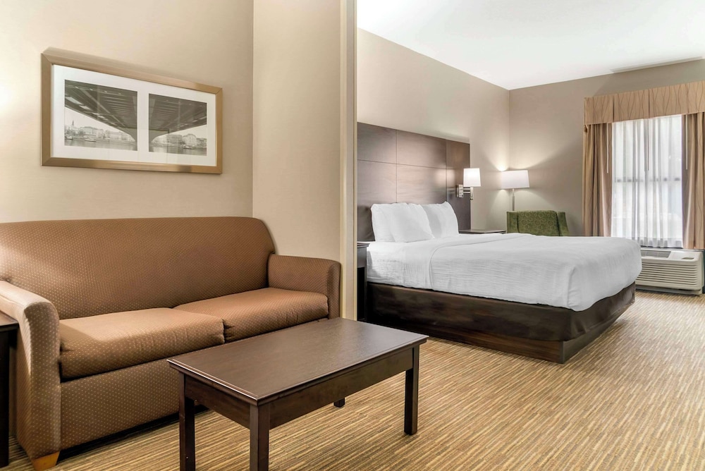 Suite, King Bed, Sofa, Accessible