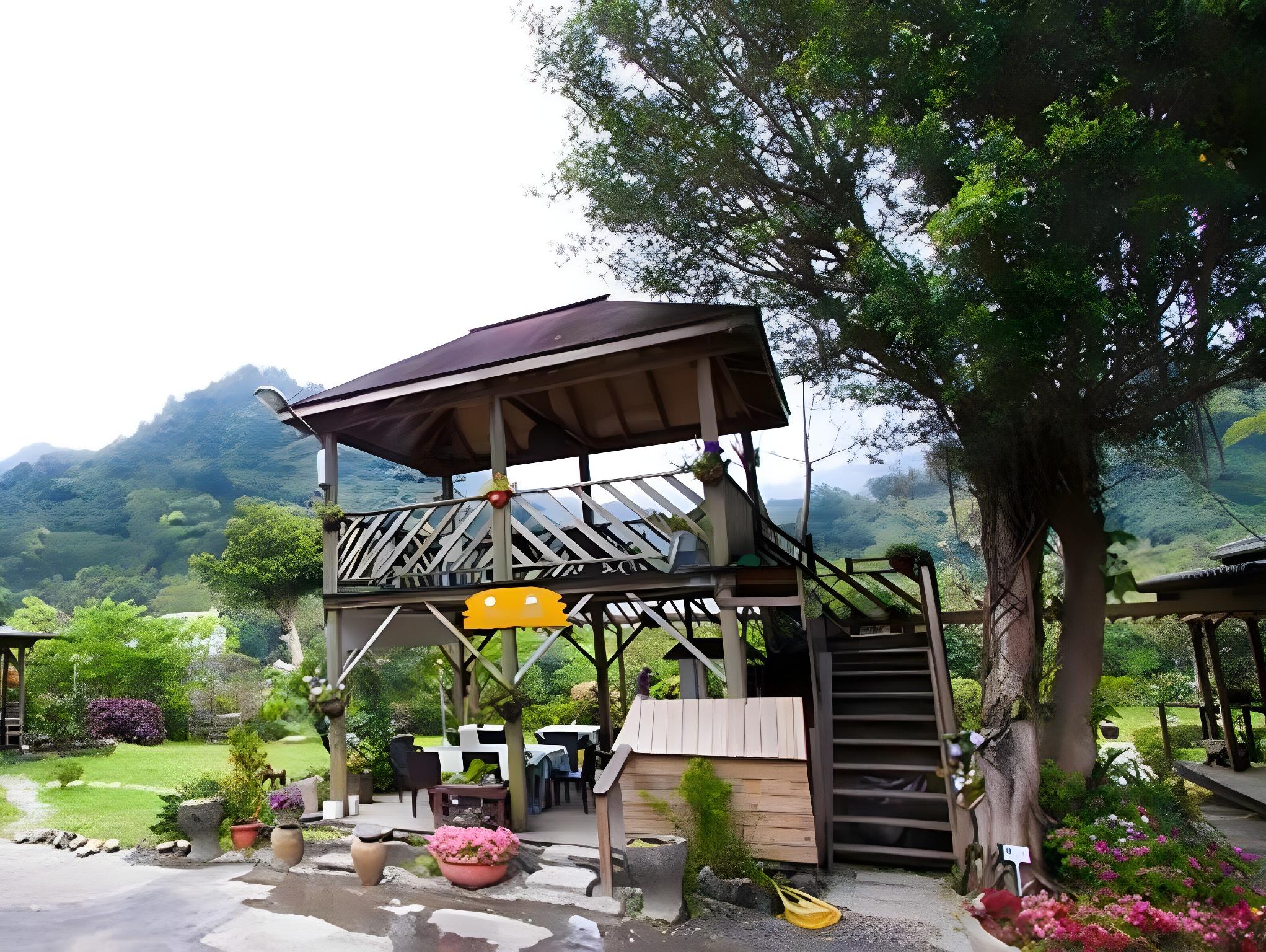 Reishi Expert B&amp;B 3/26