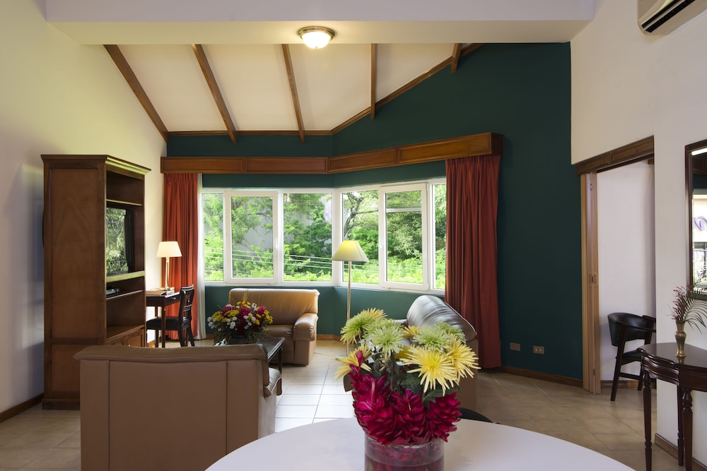 Aparthotel & Suites Villas Del Rio 31/50