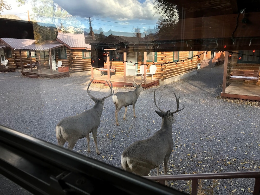 Grandview Cabins & RV Resort 21/50