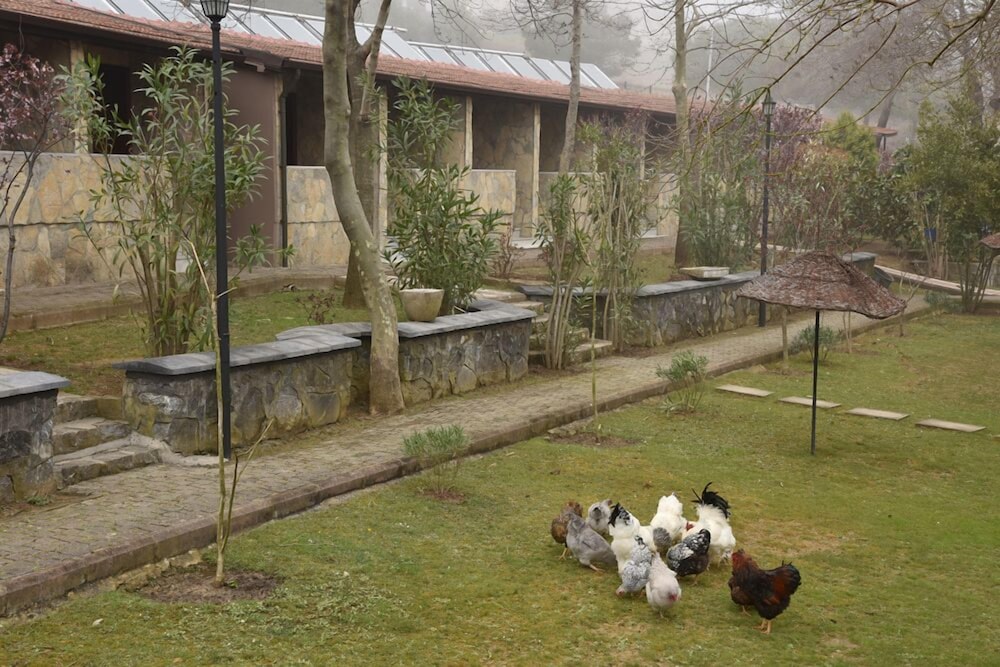 Fener Motel 46/50