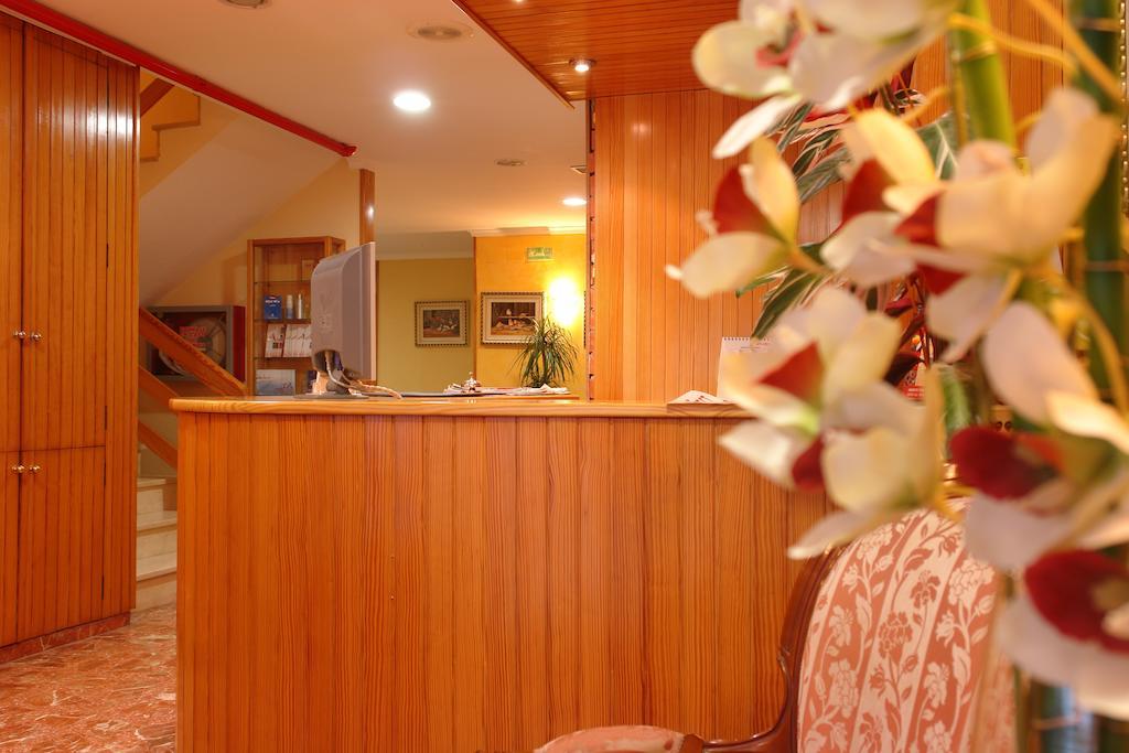 Hotel Avenida Plaza 5/41