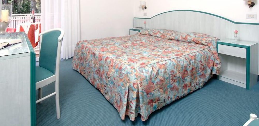 Hotel San Marco 13/50