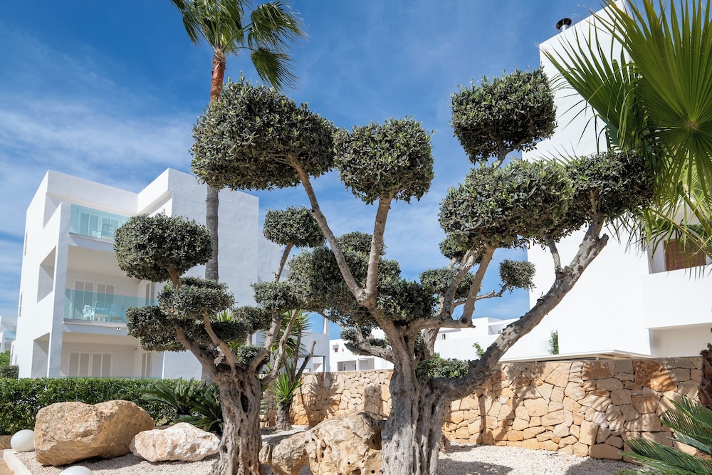 Marsenses Ferrera Blanca Adults Only Hotel 133/150