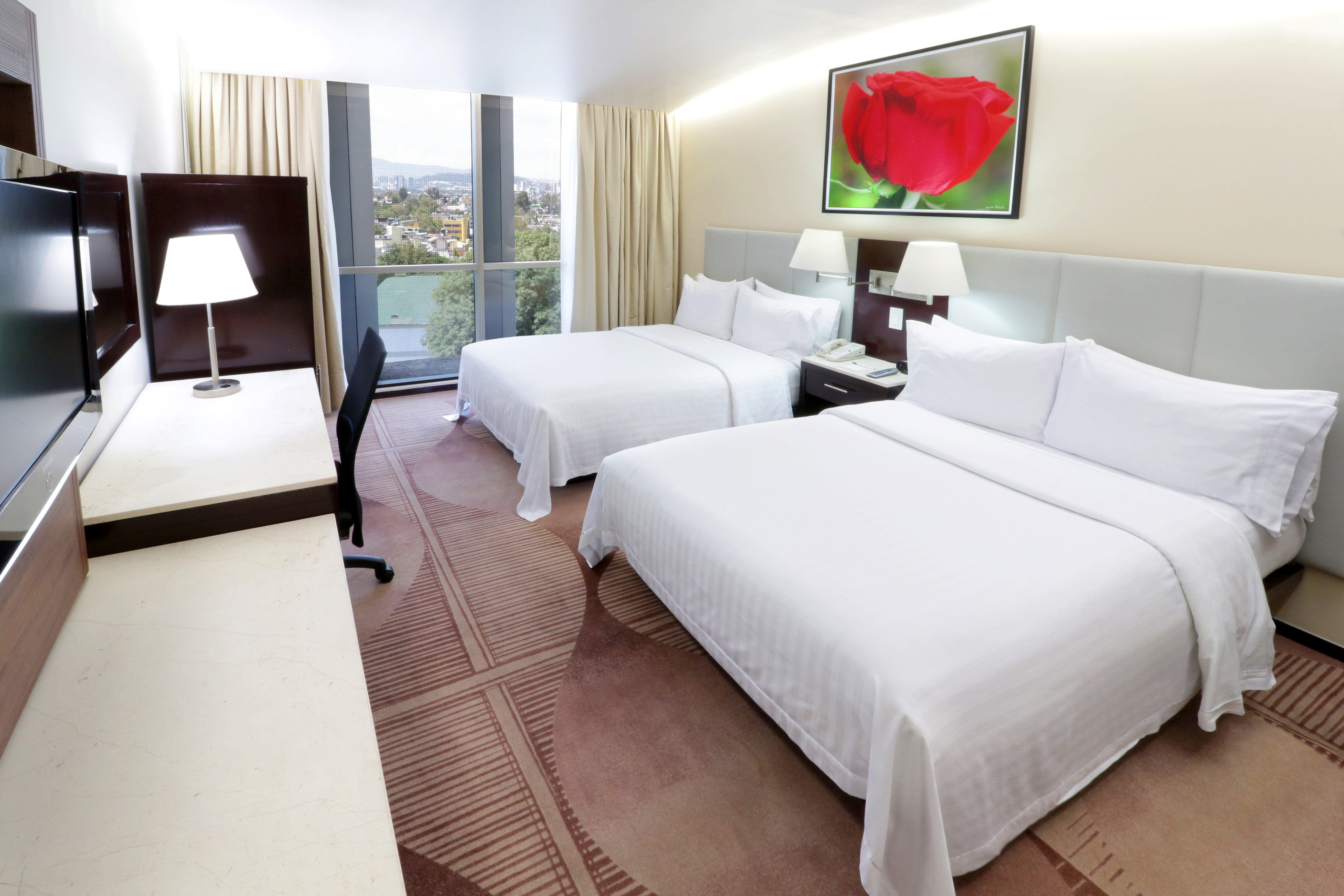 Holiday Inn Hotel And Suites Medica Sur 12/35