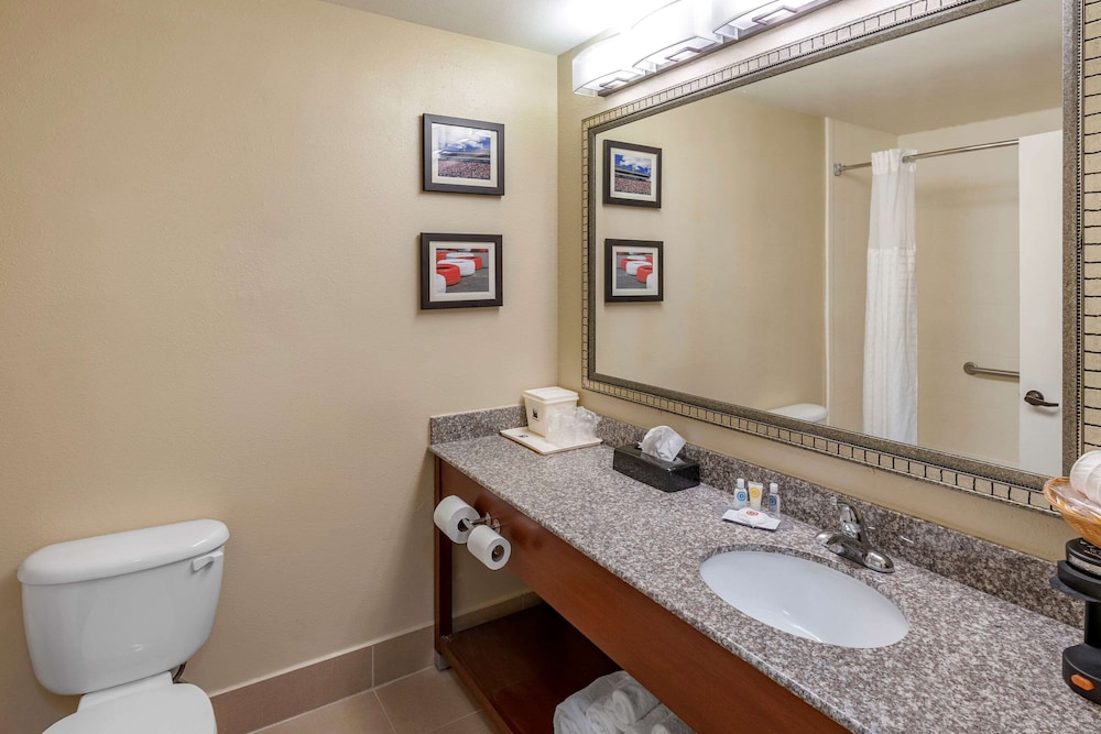 Comfort Inn and Suites Lincoln AL 58/61
