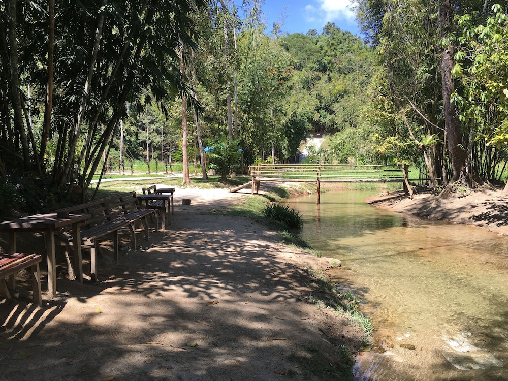 Rain Forest Inn 56/66