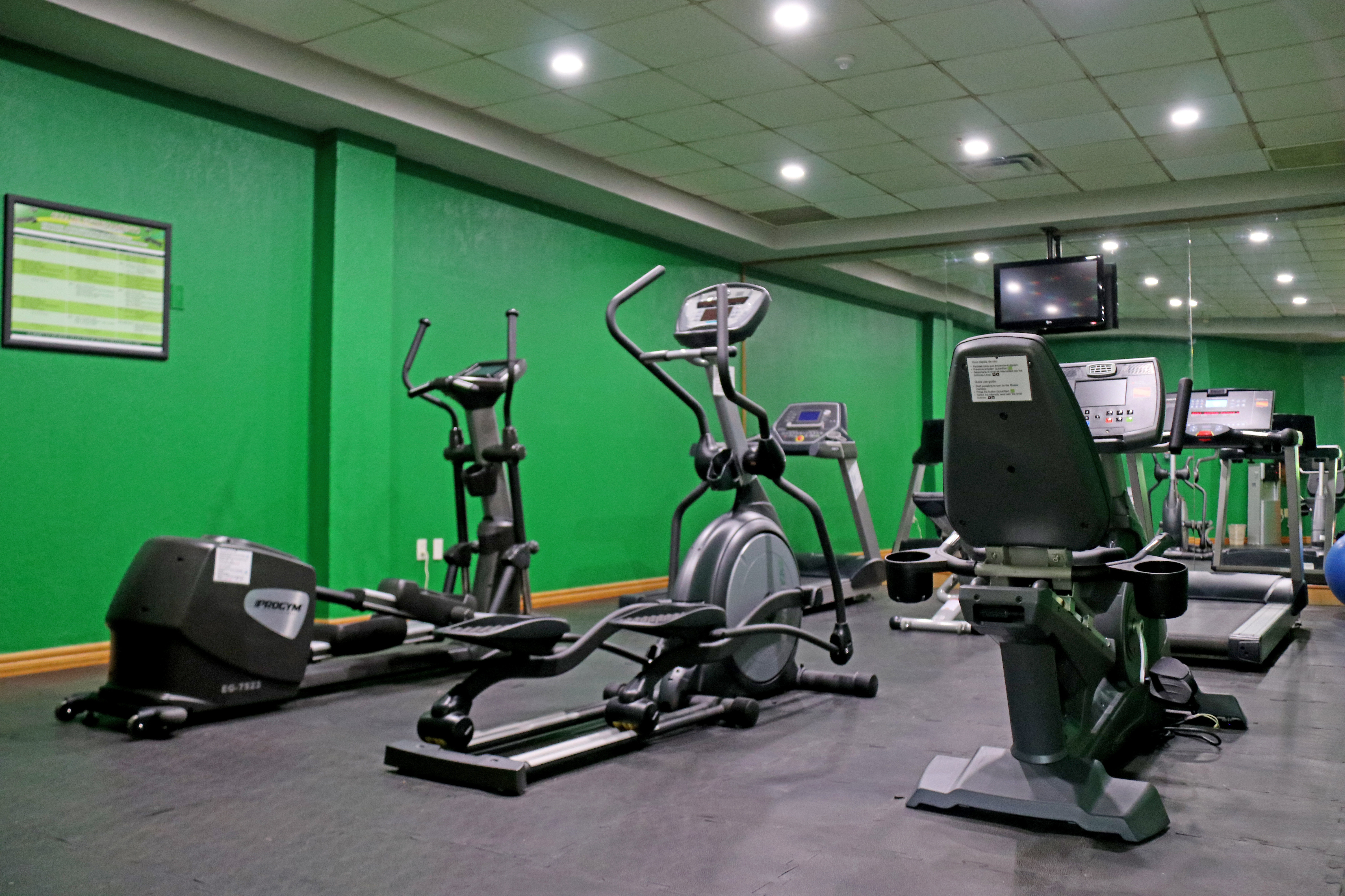 Holiday Inn La Piedad 19/55