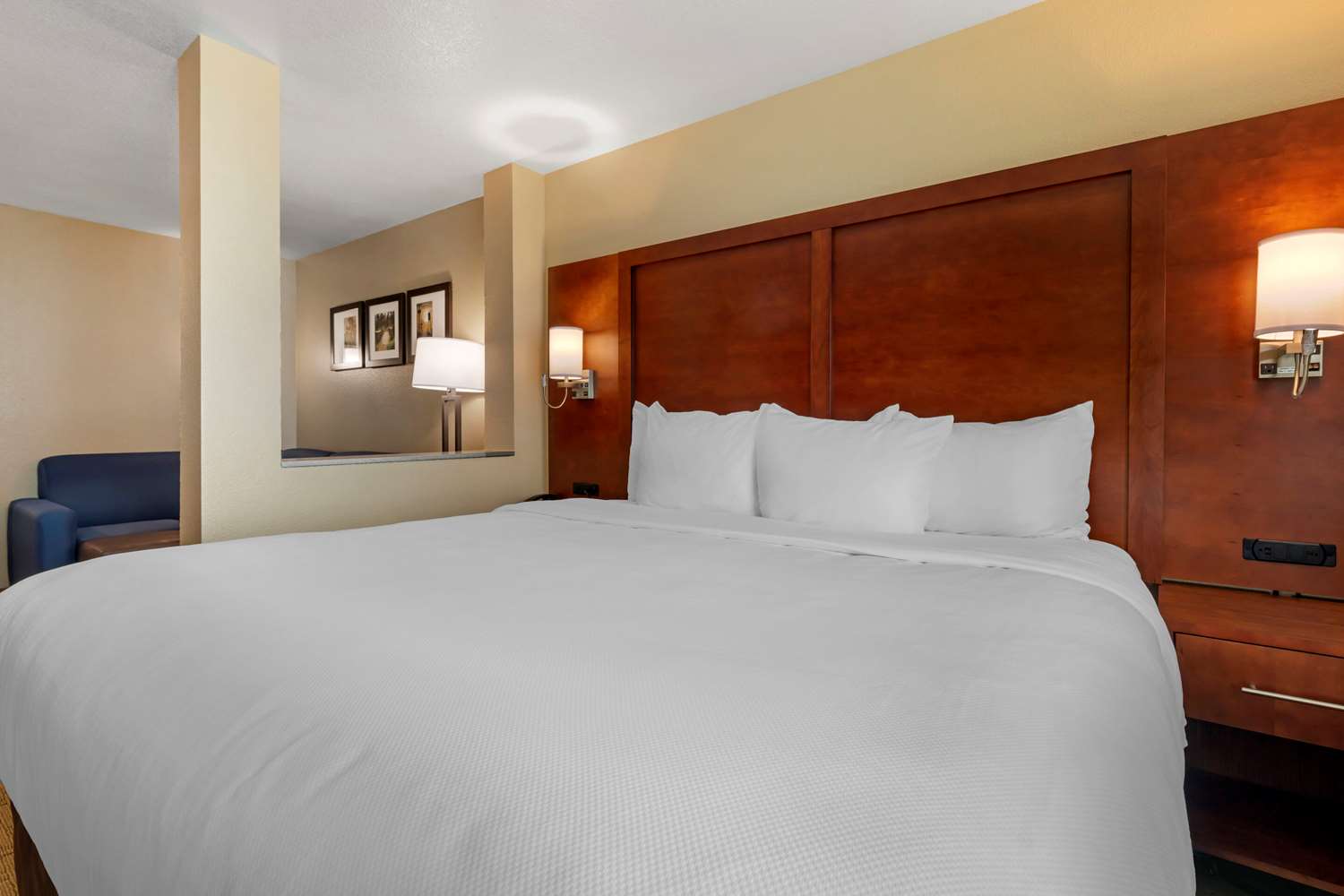 Comfort Inn & Suites Euless DFW West 11/45