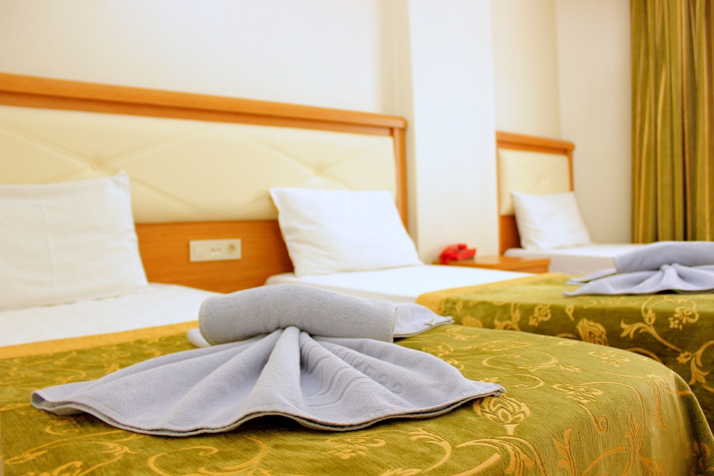Hotel Buyuk Paris 8/50
