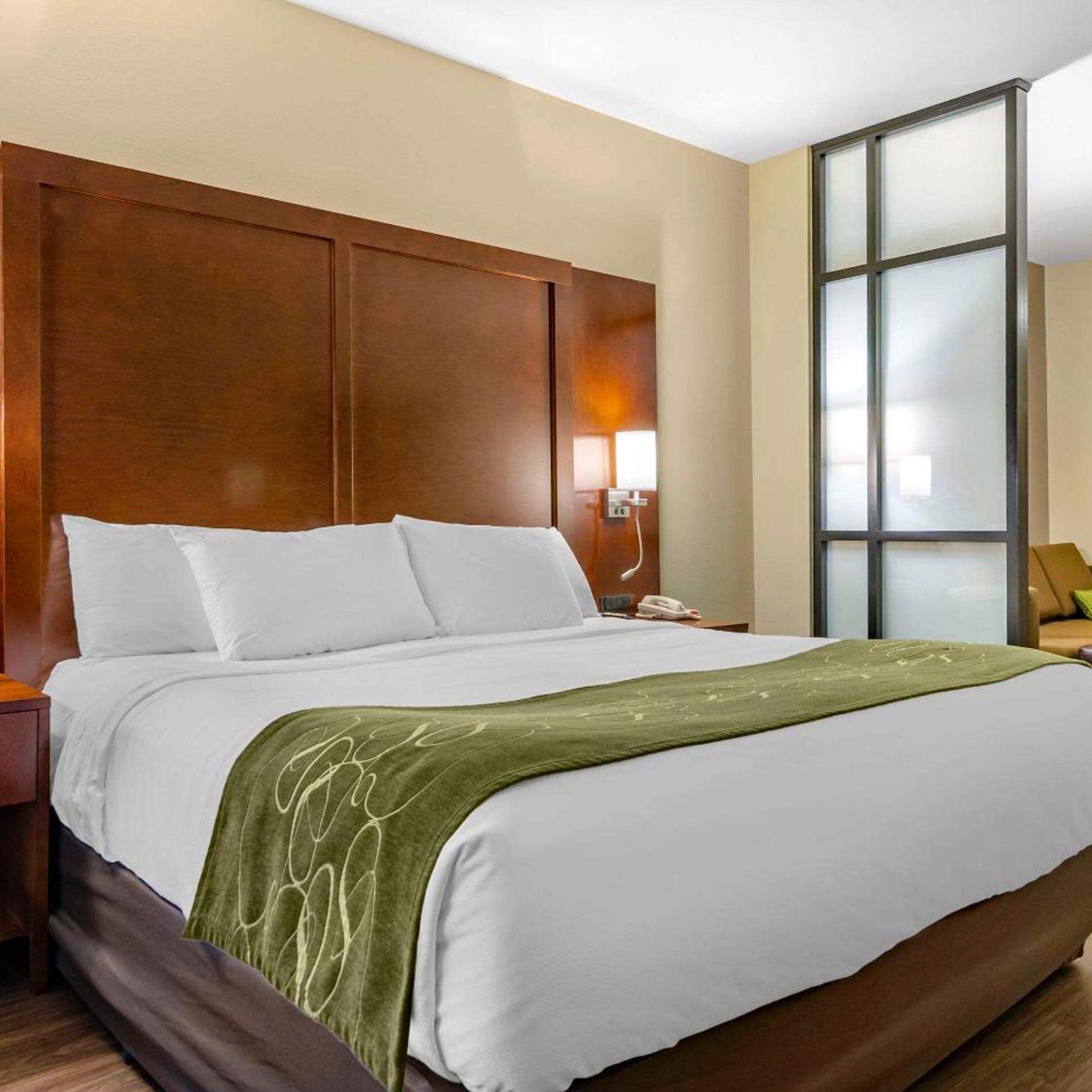 Suite, King Bed, Sofa, Bathtub, Accessible