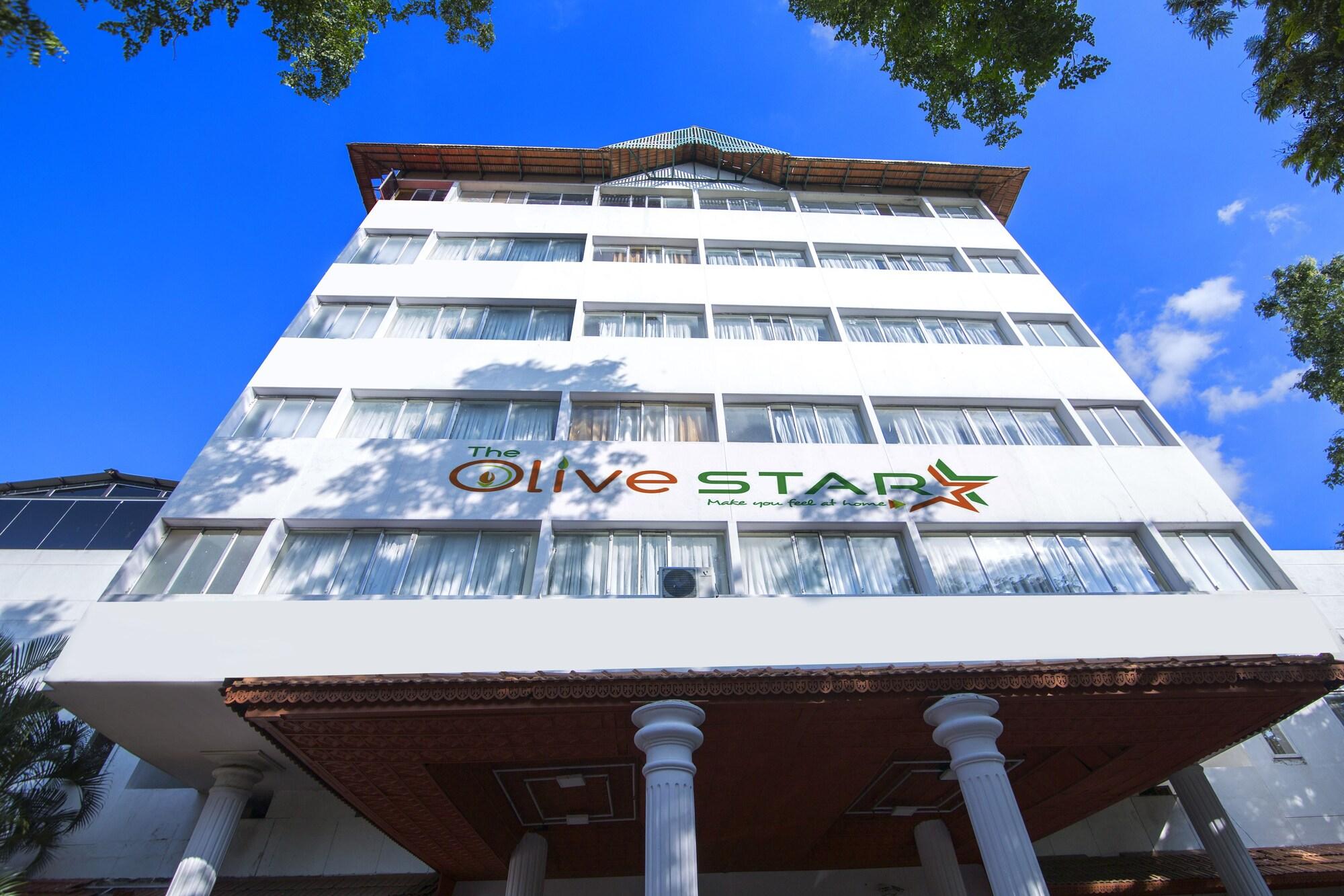 The Olive Star 3/38