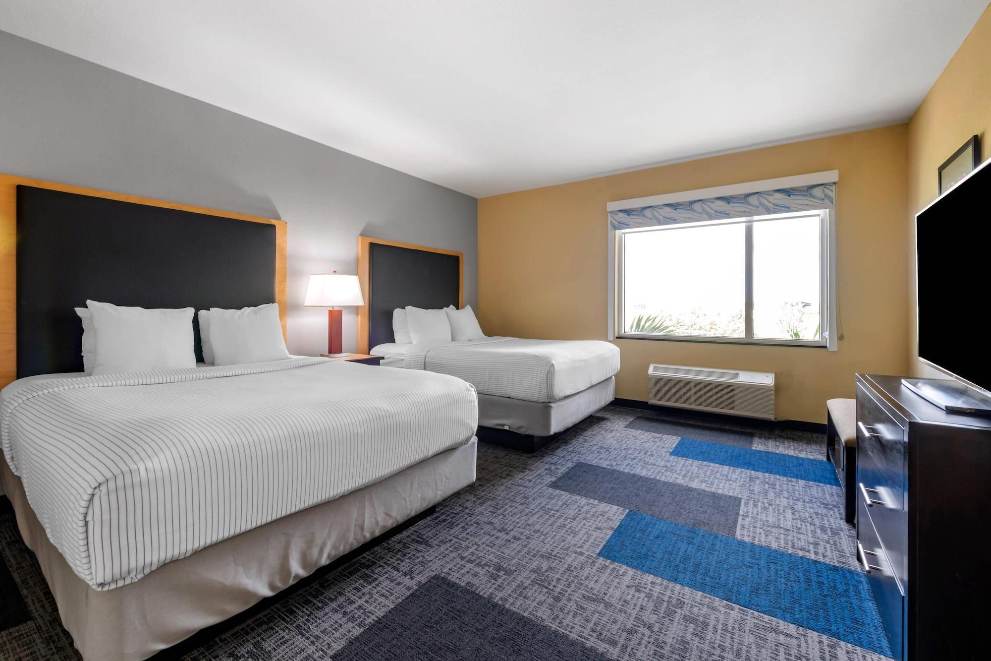 1 Bedroom, Suite