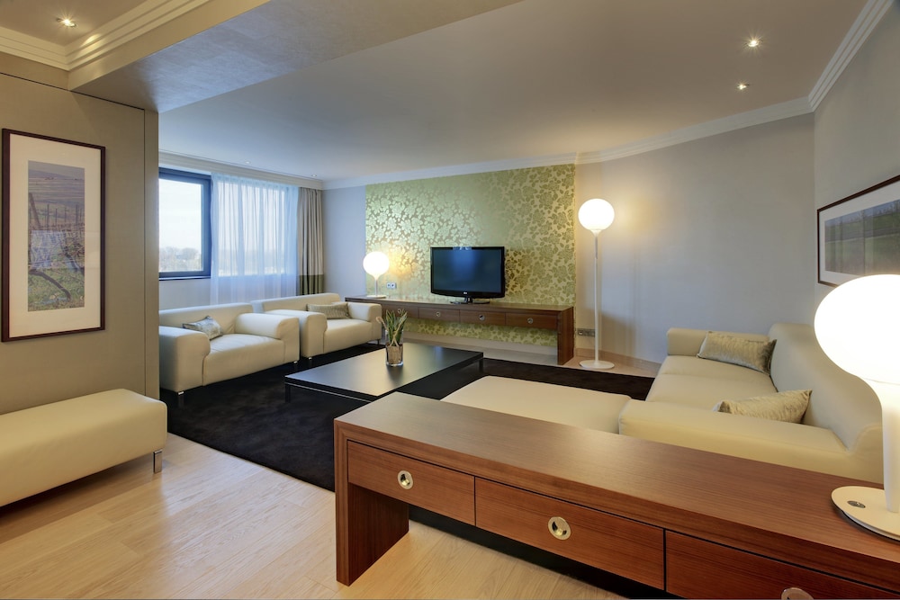 Hilton Mainz Hotel 22/53