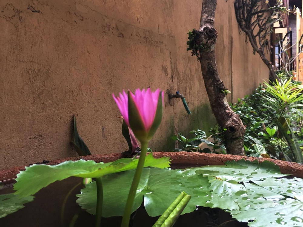 Bulan Bali Homestay 56/63