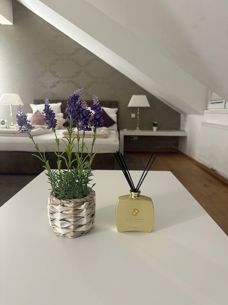 Helvetia Suites 4/52