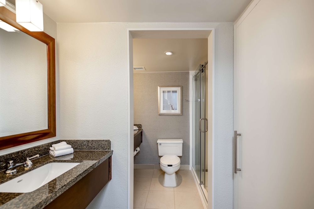 Sonesta Charlotte Lower South End 11/62