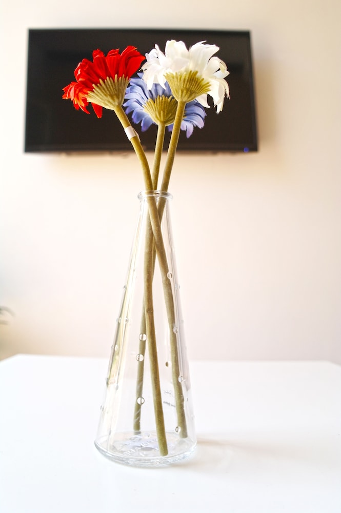 SUITE VALENCIA MURILLO APARTMENTS photo3