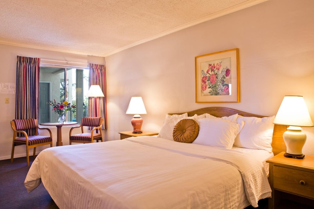 Hotel Buena Vista 20/55