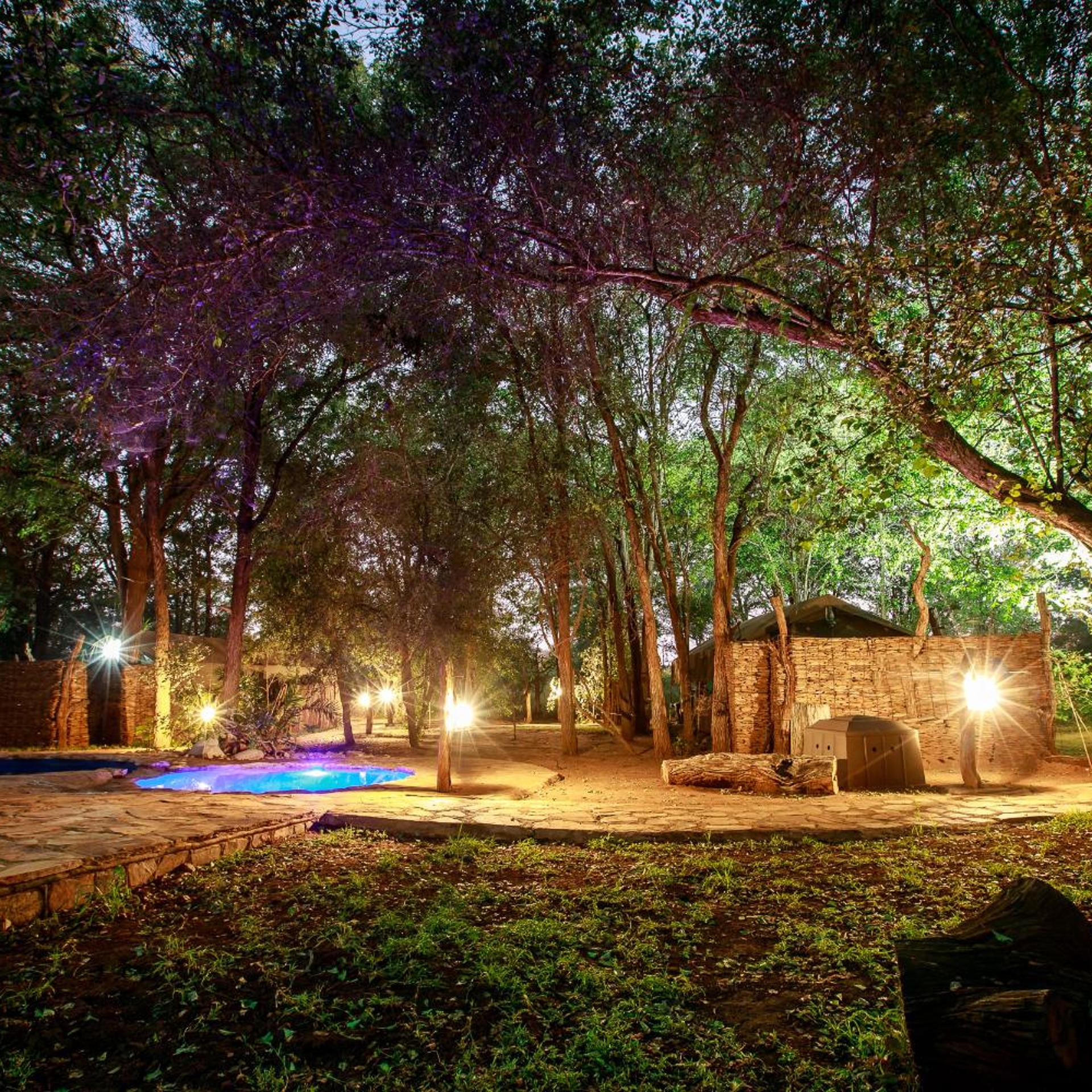 Sable Creek Safari Lodge 8/21