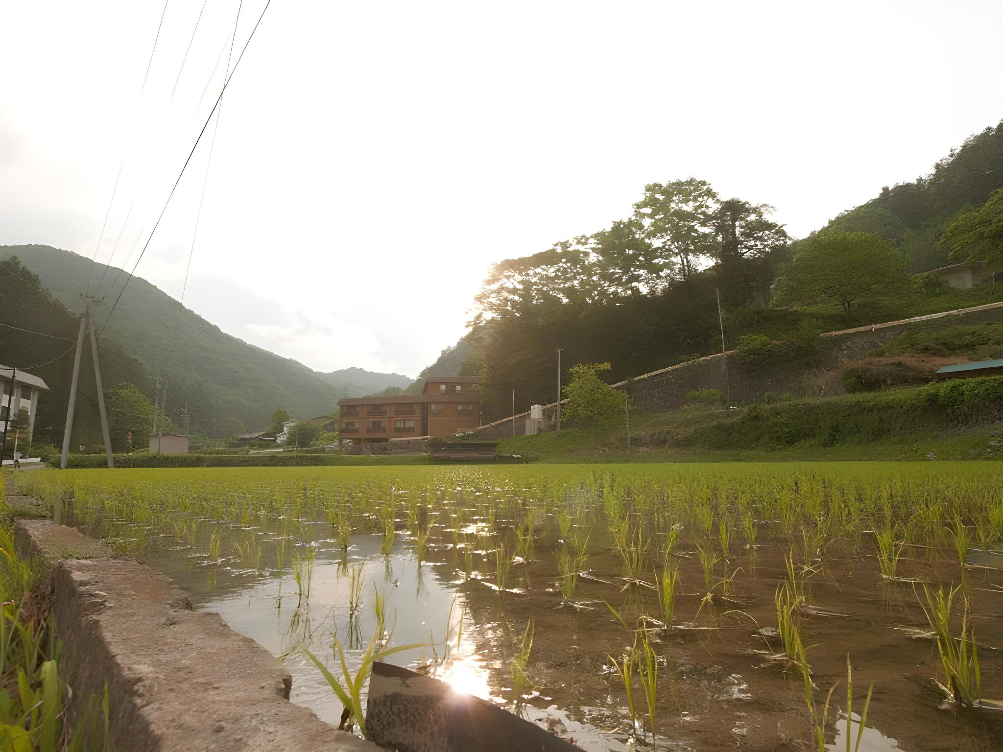 Shinshu Kakeyu Onsen Katsura Ryokan 28/32