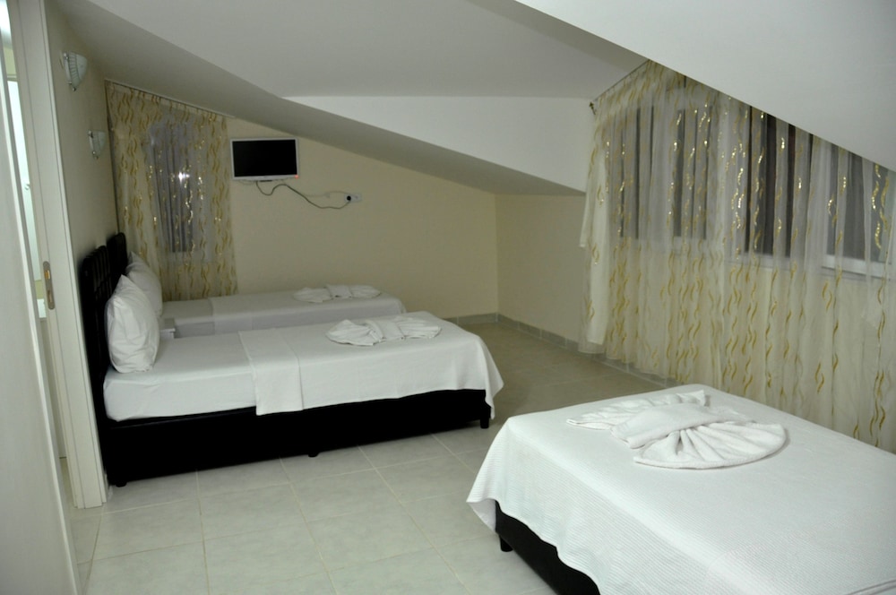 THE GREEN VALLEY HOTEL 23/65