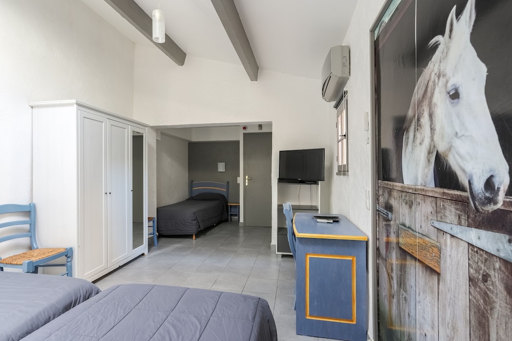 Hotel Les Palmiers En Camargue 27/50