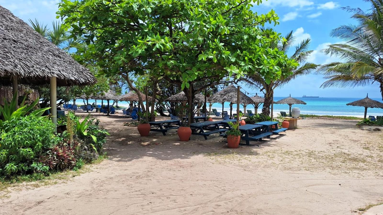 Kipepeo Beach And Village 48/62