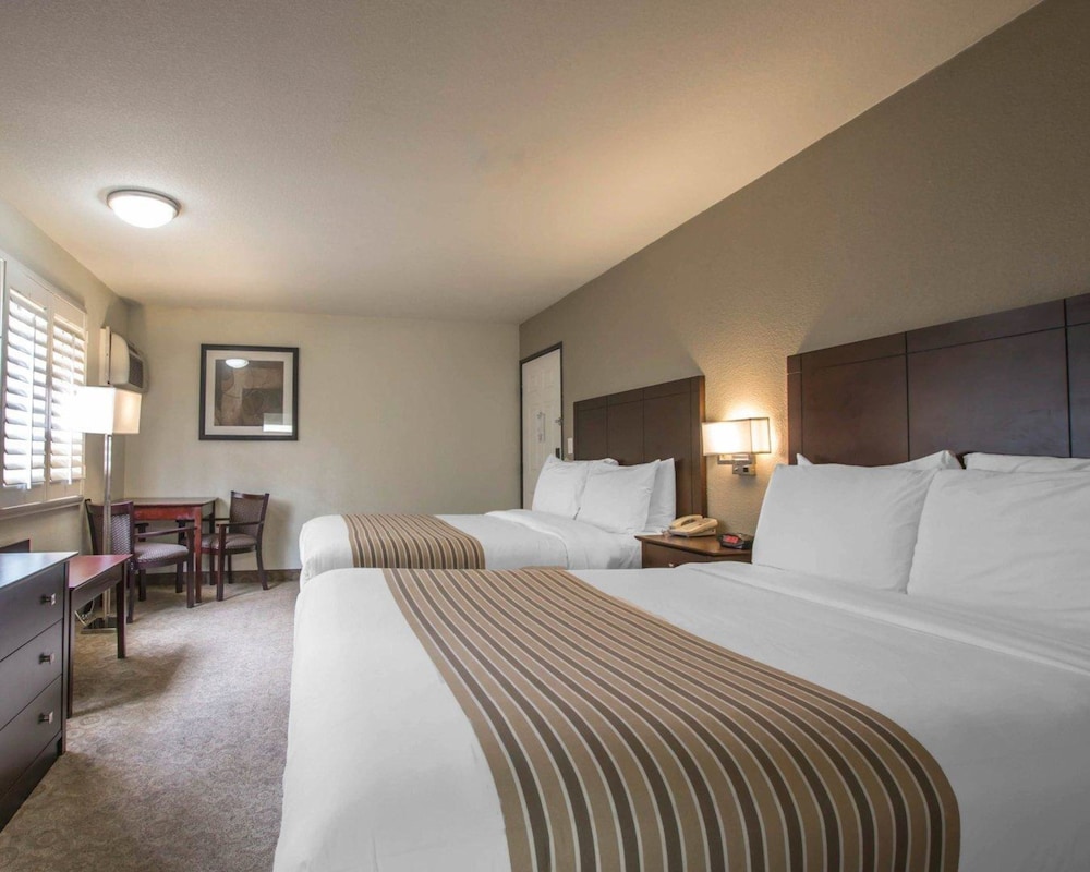 Rodeway Inn Convention Center 8/32